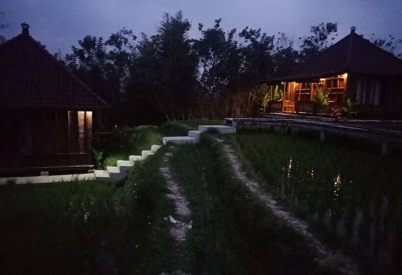 بنسيون Ubud Sawah Scenery Villa And Homestay