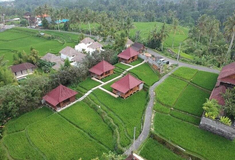 بنسيون Ubud Sawah Scenery Villa And Homestay
