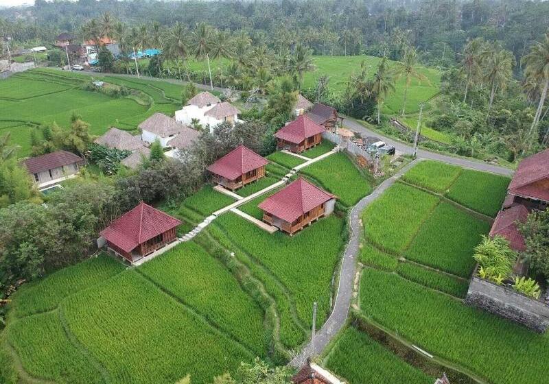بنسيون Ubud Sawah Scenery Villa And Homestay