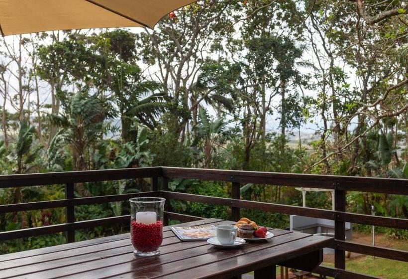 بنسيون Zesty Guesthouse