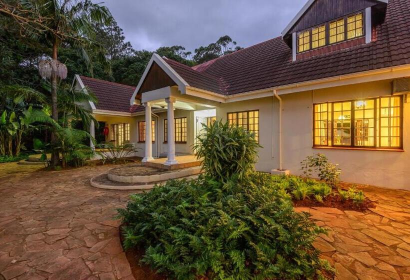 بنسيون Zesty Guesthouse