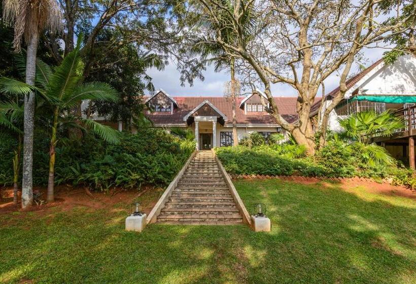 بنسيون Zesty Guesthouse