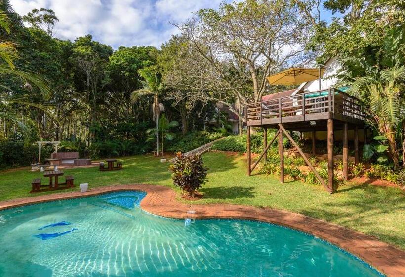 بنسيون Zesty Guesthouse