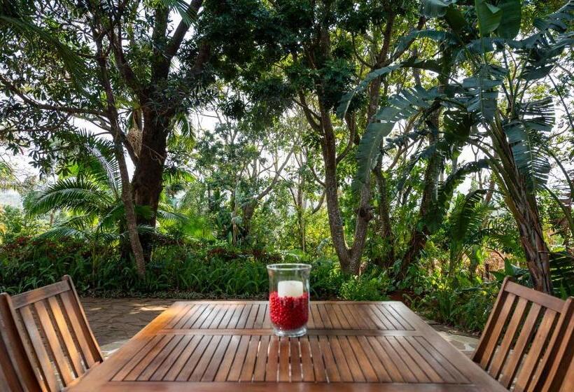 بنسيون Zesty Guesthouse