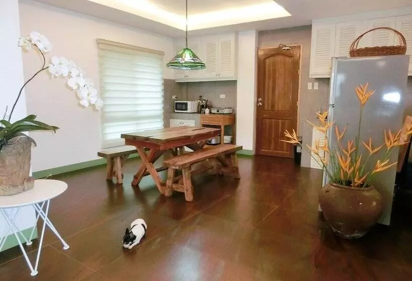 Bed and Breakfast Aurora 2013 Guest House