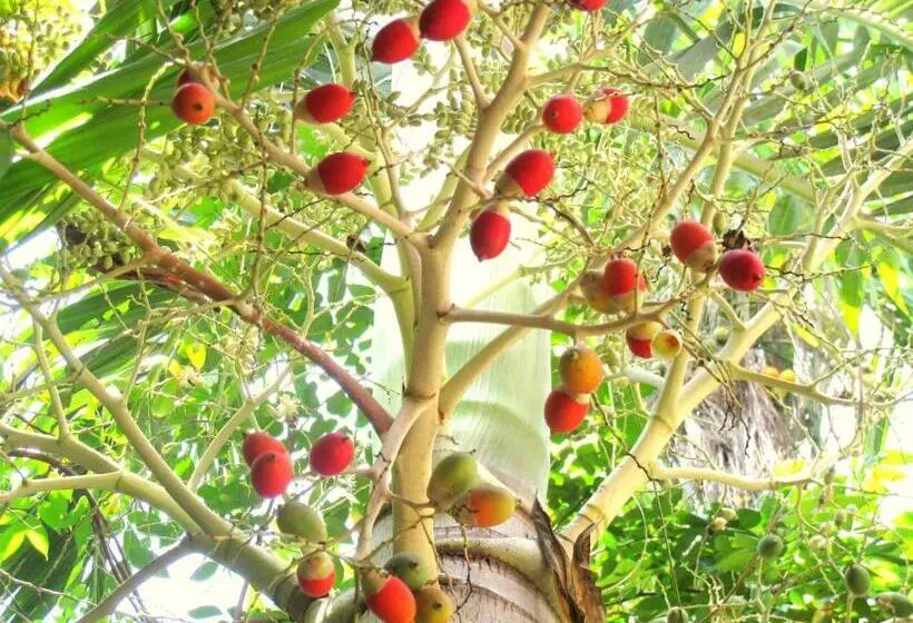 Hoang Kim Golden Resort