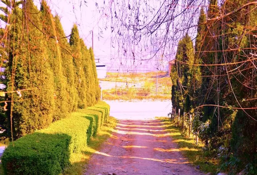 هتل Araniko Village Resort