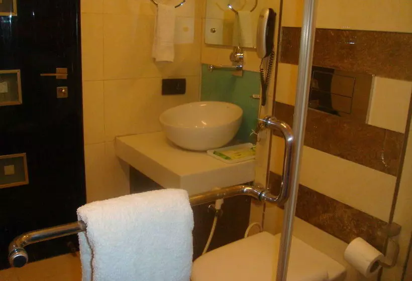 فندق Shreyans Inn