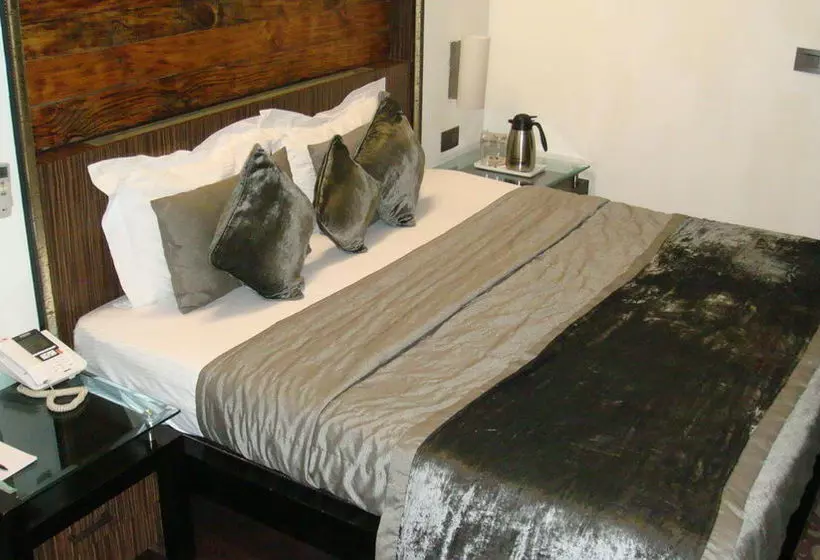 فندق Shreyans Inn