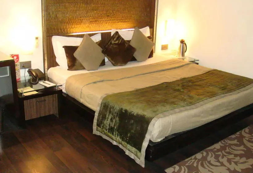 فندق Shreyans Inn