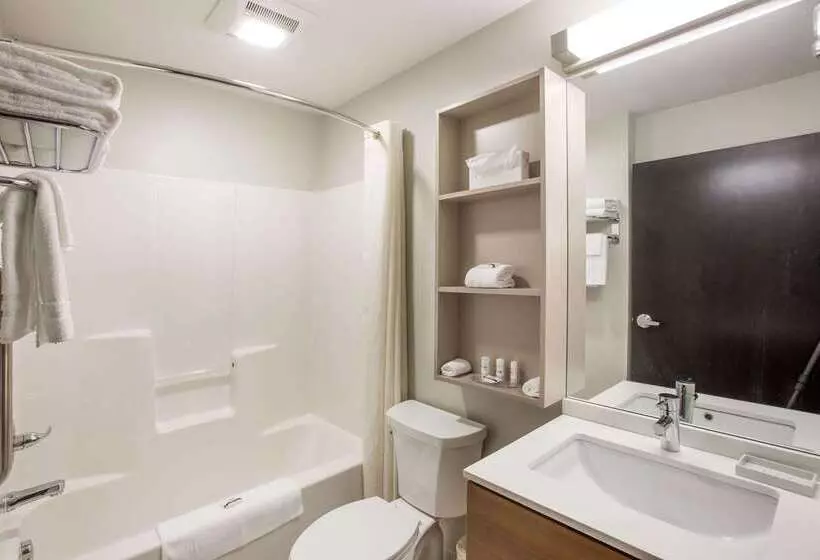 Microtel Inn & Suites By Wyndham Tioga