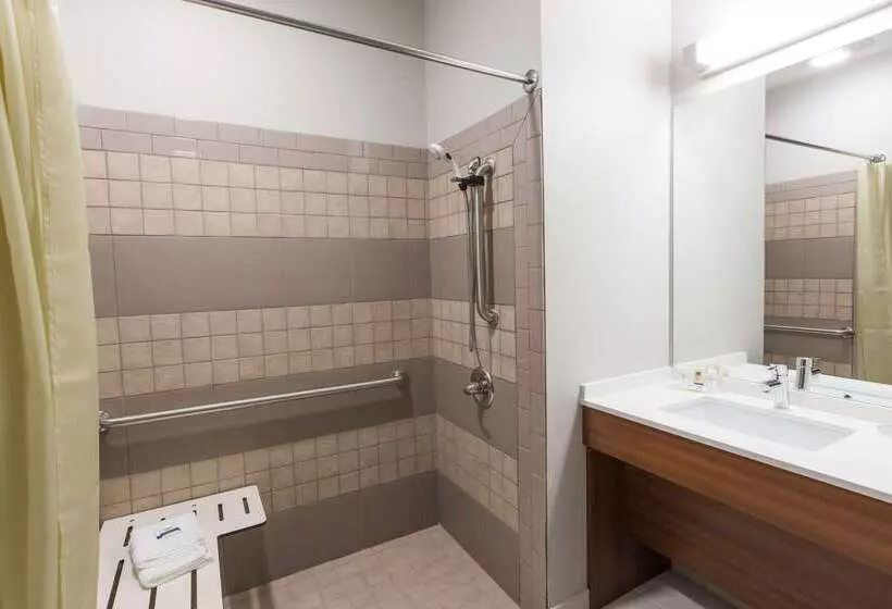 Microtel Inn & Suites By Wyndham Tioga