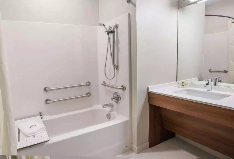 Microtel Inn & Suites By Wyndham Tioga