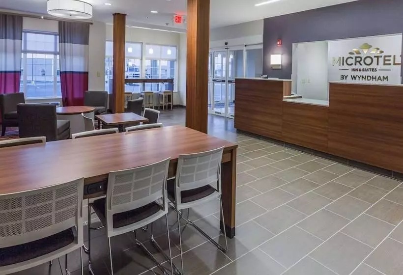 Microtel Inn & Suites By Wyndham Tioga