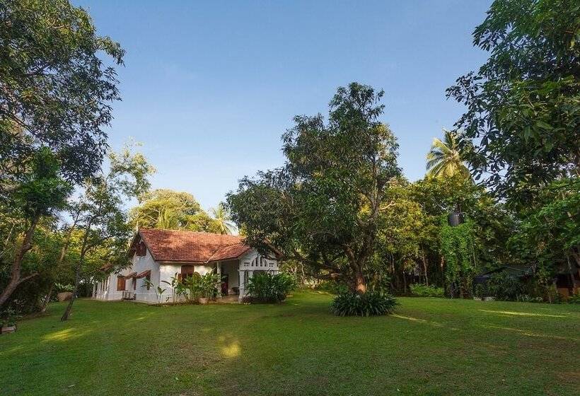 Mo River House Luxury Villa