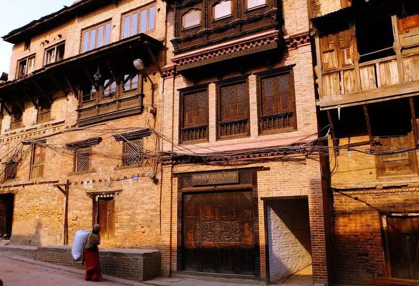 پانسیون Peacock Guest House