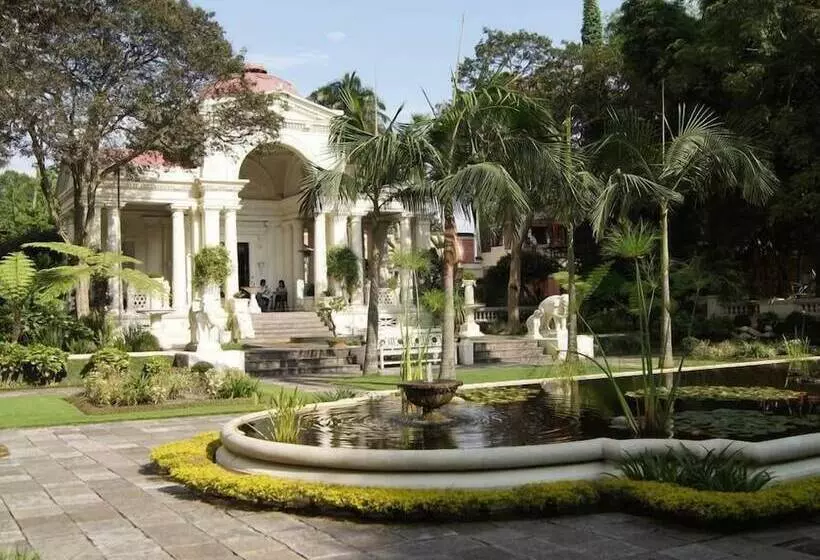 Alpine Hotel & Apartment