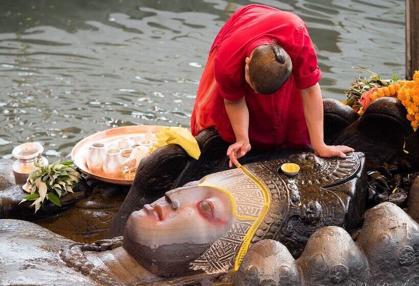 Alpine Hotel & Apartment