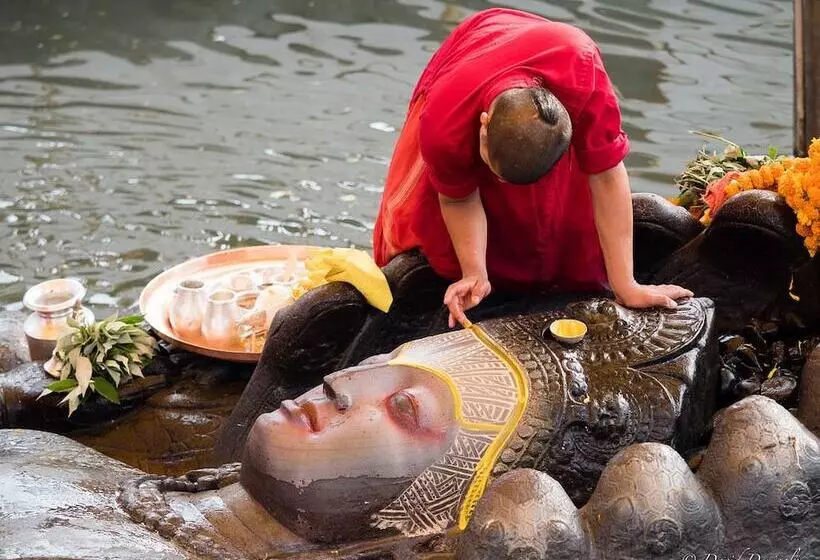 Alpine Hotel & Apartment