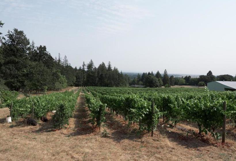 مبيت وإفطار Dreamgiver S Inn