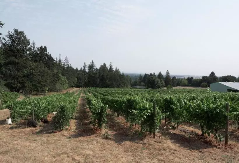 Bed and Breakfast Dreamgiver S Inn