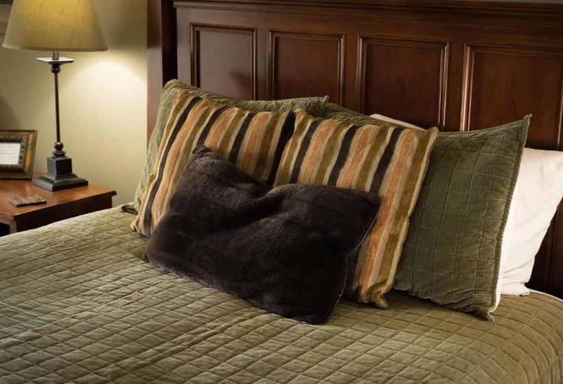 مبيت وإفطار Dreamgiver S Inn