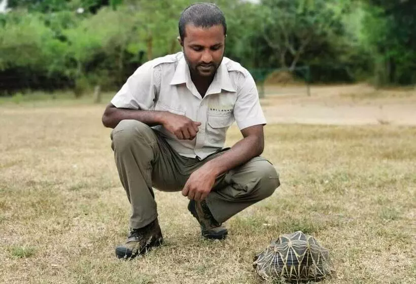 호텔 Big Game Yala By Eco Team