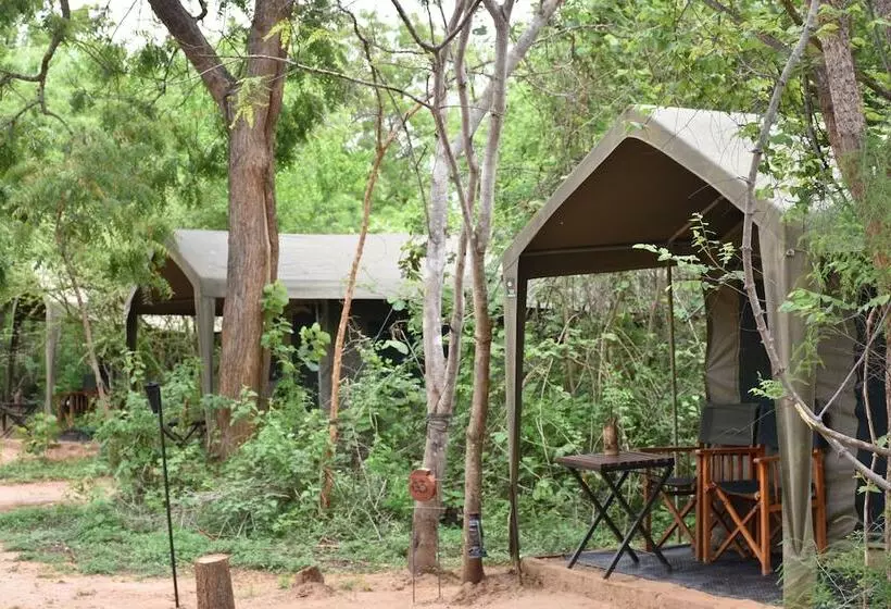 호텔 Big Game Yala By Eco Team