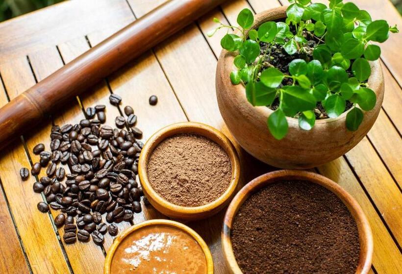 فندق Bodhi Tree Yoga Resort