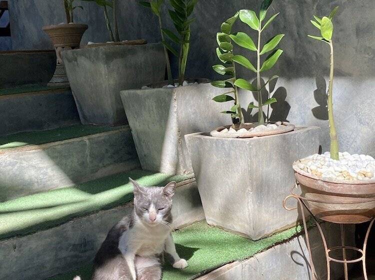 בית מלון כפרי Family House @ Pai