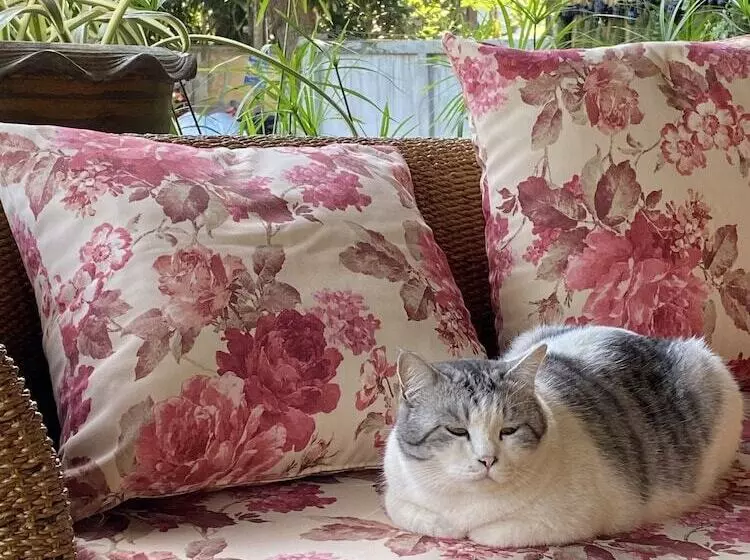 Отель Family House @ Pai