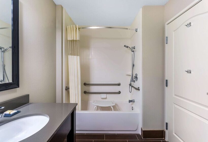 酒店 La Quinta By Wyndham Monahans