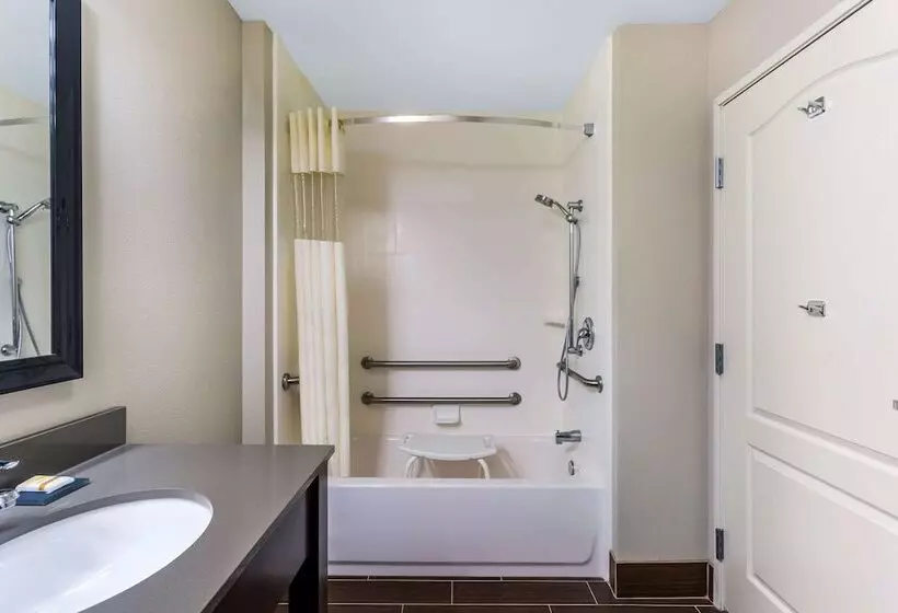 酒店 La Quinta By Wyndham Monahans