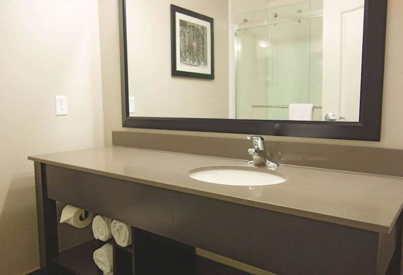 酒店 La Quinta By Wyndham Monahans