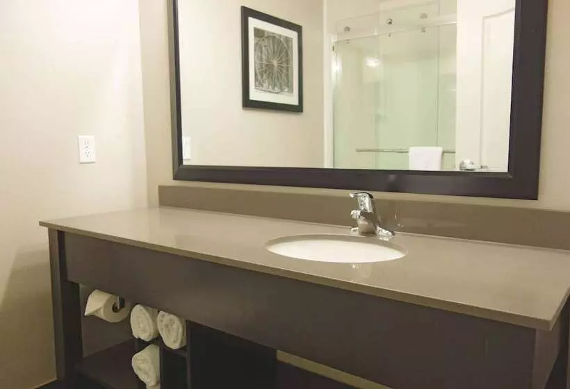 酒店 La Quinta By Wyndham Monahans