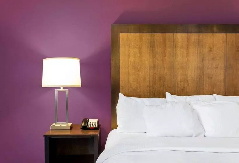 酒店 La Quinta By Wyndham Monahans