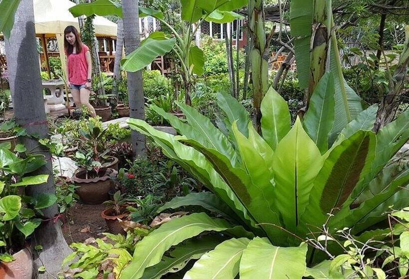 בית מלון כפרי Rimpu Hill Resort