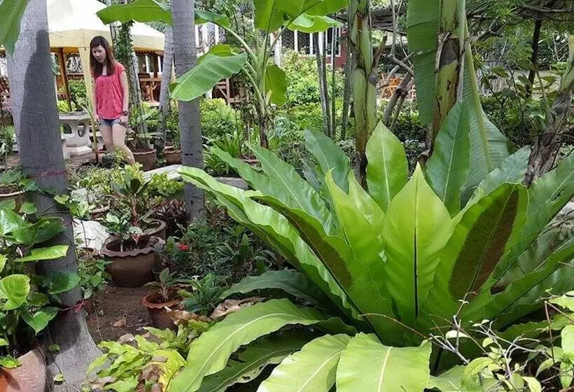 בית מלון כפרי Rimpu Hill Resort