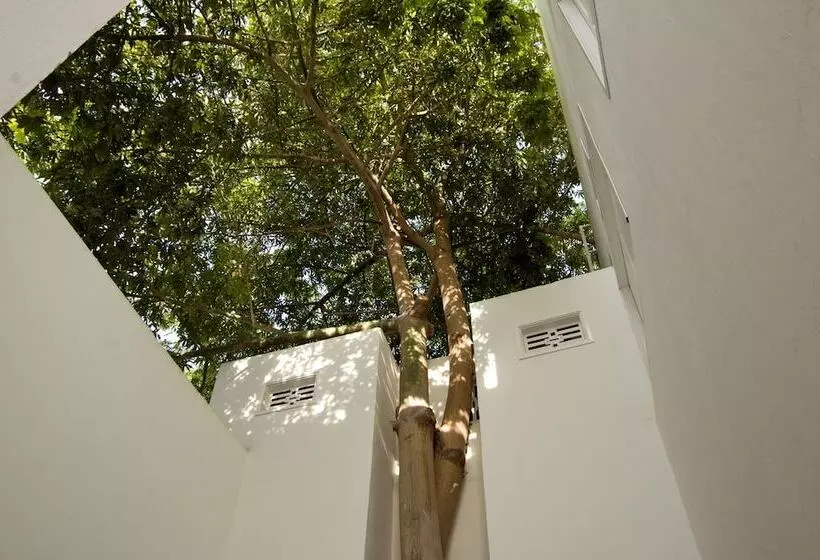 La Casa Del Piano Hotel Boutique By Xarm Hotels