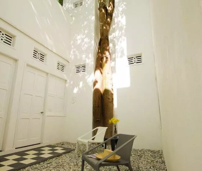 La Casa Del Piano Hotel Boutique By Xarm Hotels