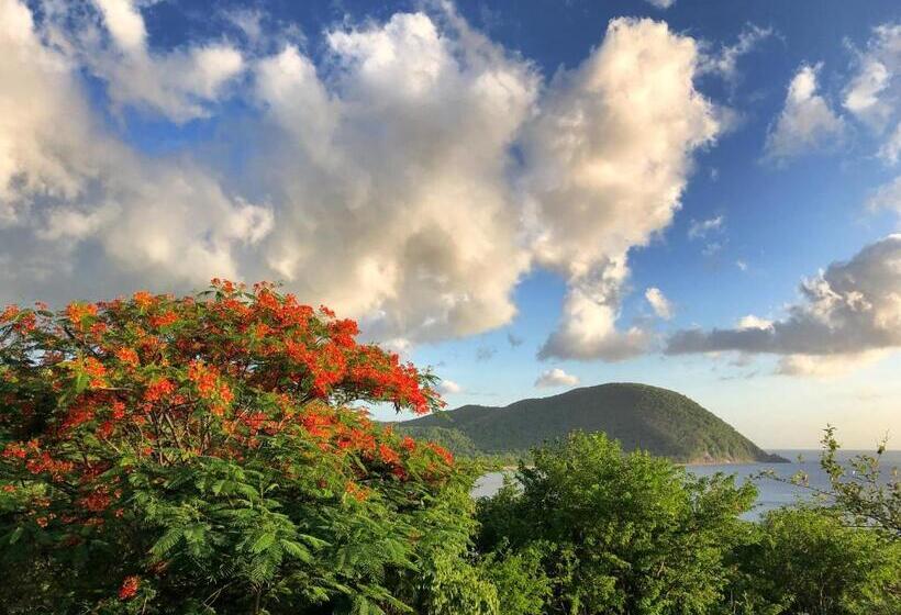 Duplex 4 Personnes Chambre Vue Mer Résidence O Coeur De Deshaies