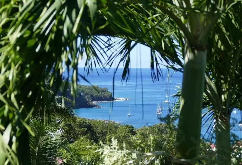 Duplex 4 Personnes Chambre Vue Mer Résidence O Coeur De Deshaies