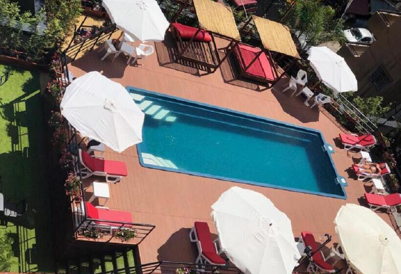 هتل 1866 Court & Suites