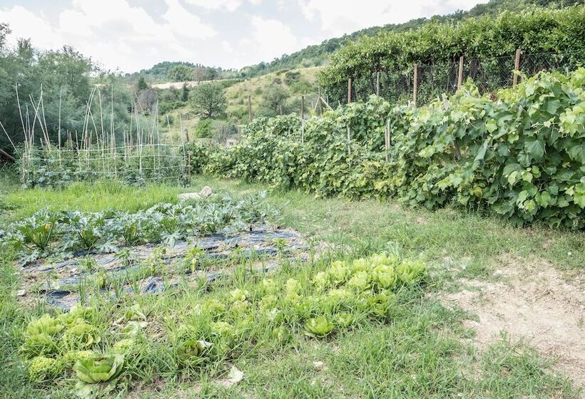 בית מלון כפרי Agriturismo Goccia Di Luna