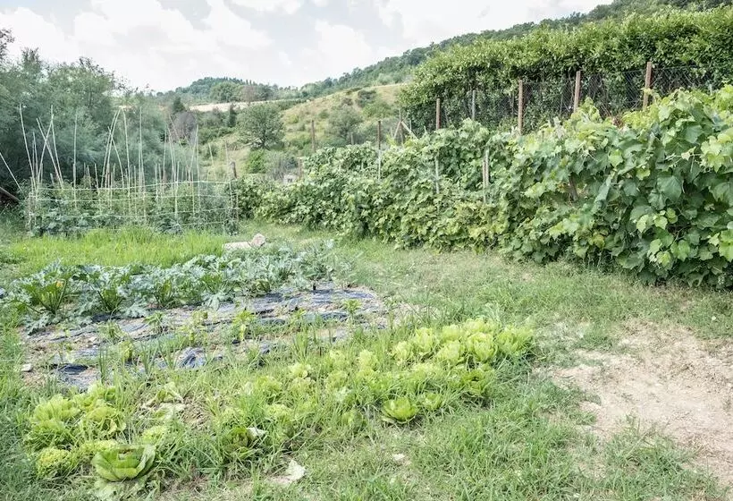 酒店 Agriturismo Goccia Di Luna