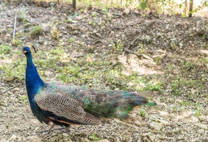 בית מלון כפרי Agriturismo Goccia Di Luna