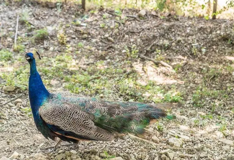 酒店 Agriturismo Goccia Di Luna