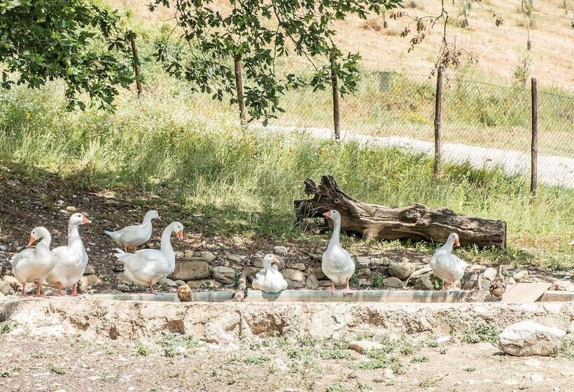 בית מלון כפרי Agriturismo Goccia Di Luna