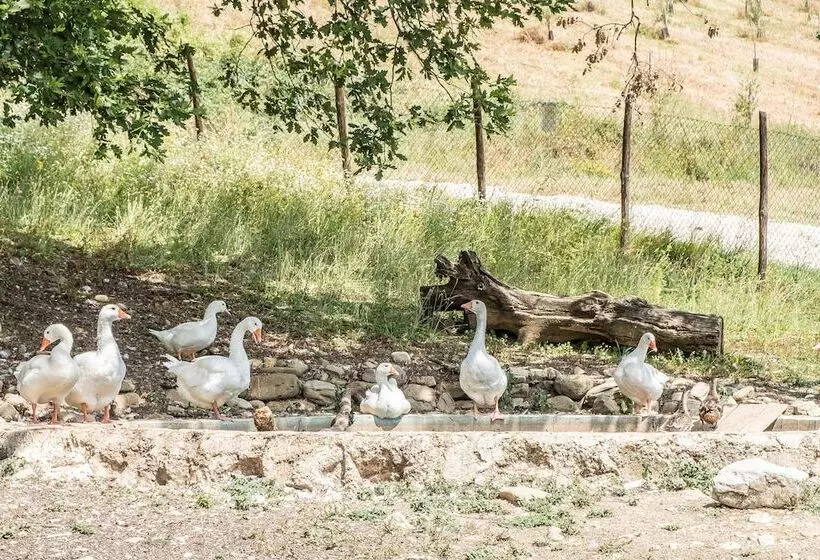 酒店 Agriturismo Goccia Di Luna