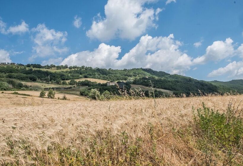 בית מלון כפרי Agriturismo Goccia Di Luna